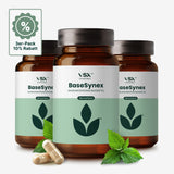 BaseSynex Bundle (3-er Pack)
