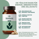 VitaSynex Premium Bundle