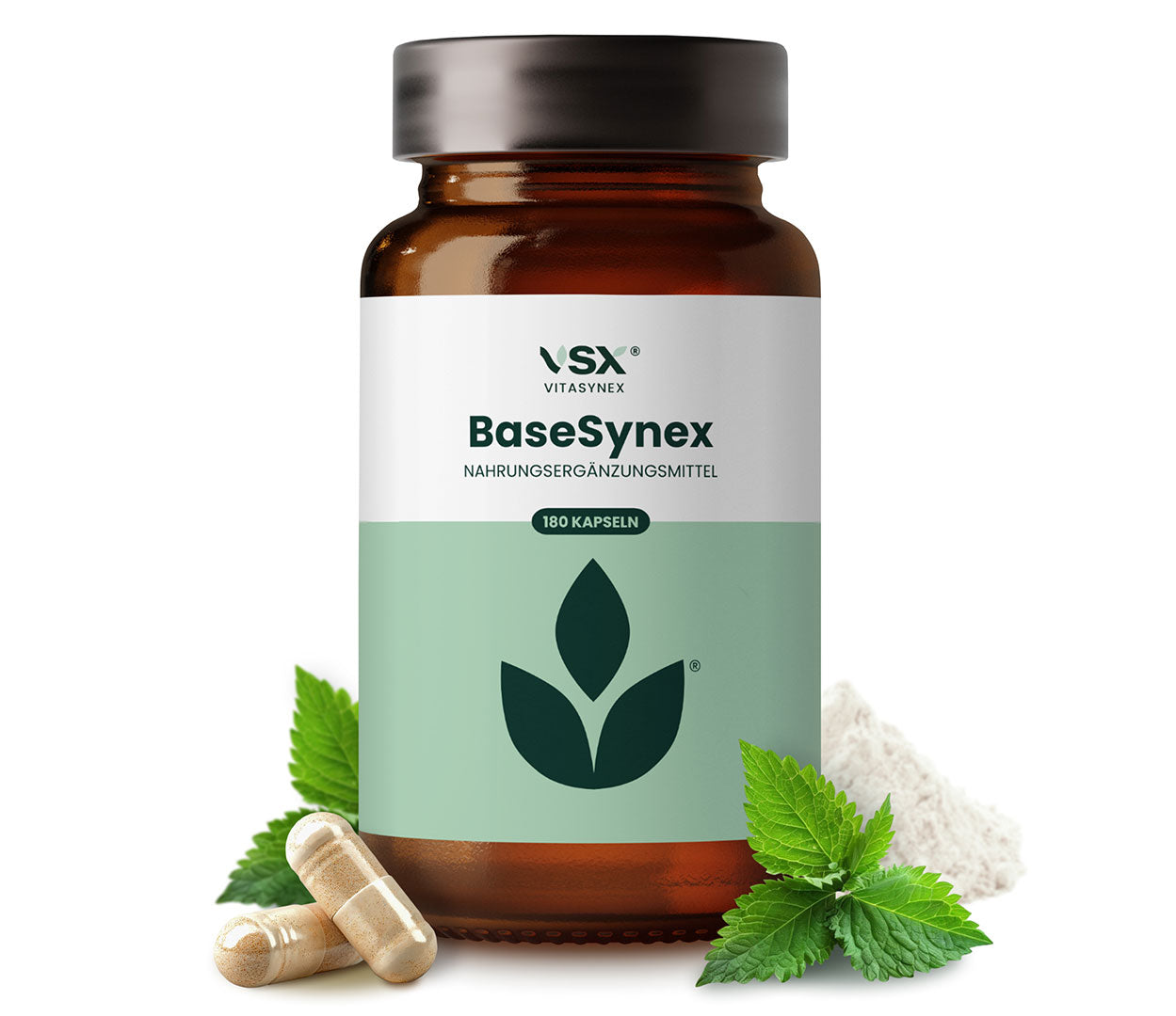 BaseSynex