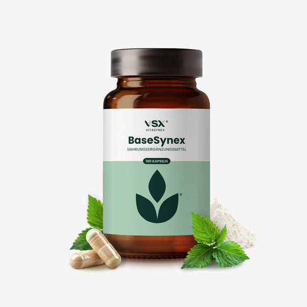 BaseSynex