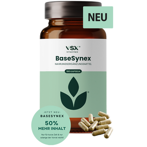 BaseSynex