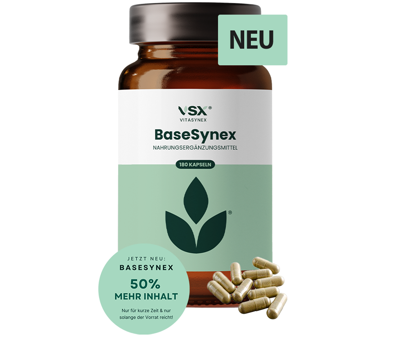 BaseSynex