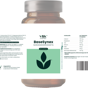 BaseSynex